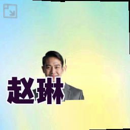 赵琳